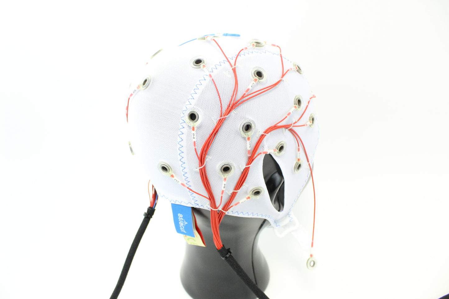 32Ch Standard BrainCap for BrainAmp for MEG