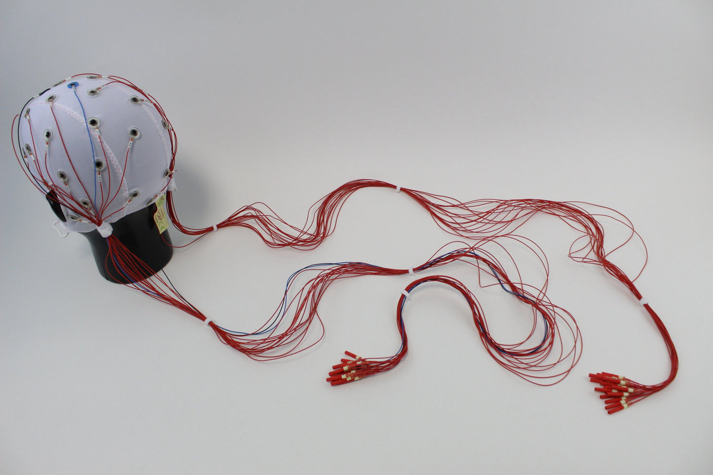 32Ch Standard BrainCap for TMS without input box