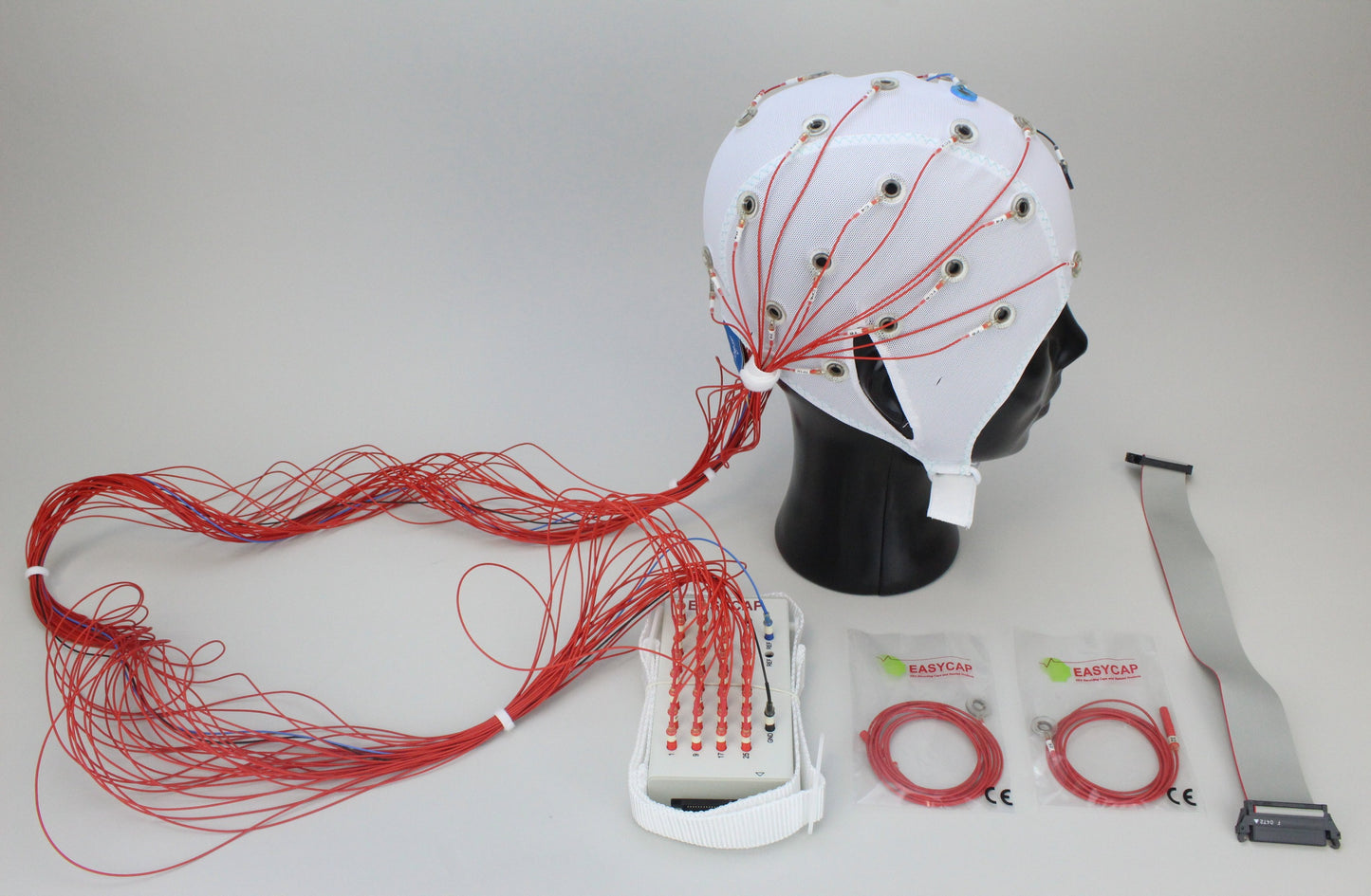 32Ch Standard BrainCap for TMS with input box