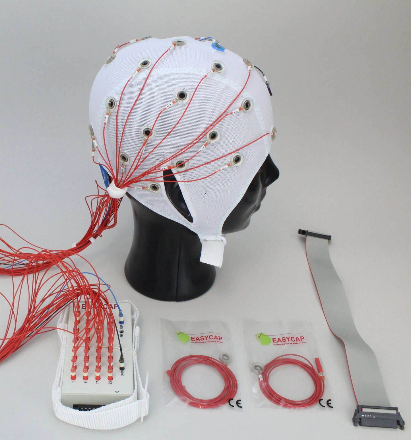 32Ch Standard BrainCap for TMS with input box