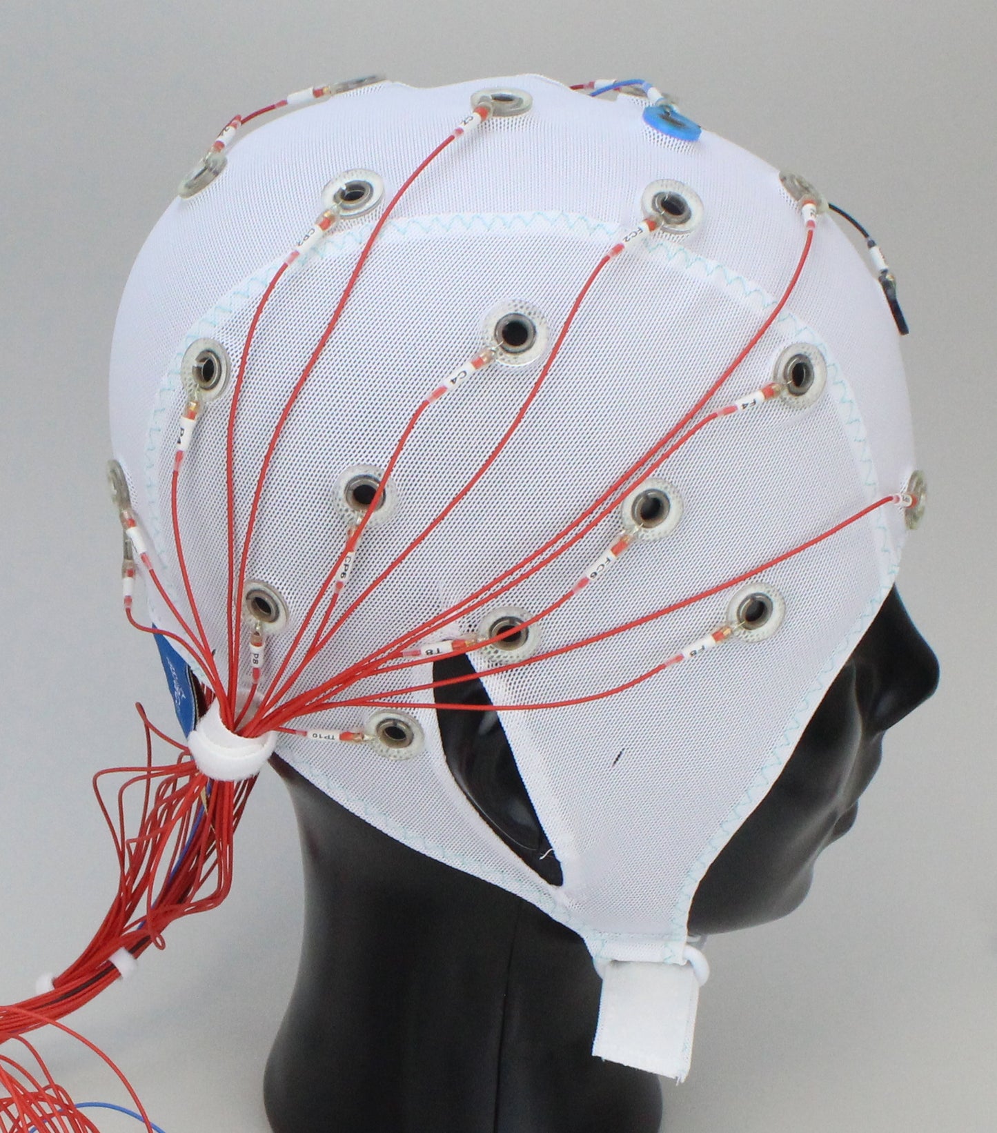 32Ch Standard BrainCap for TMS without input box