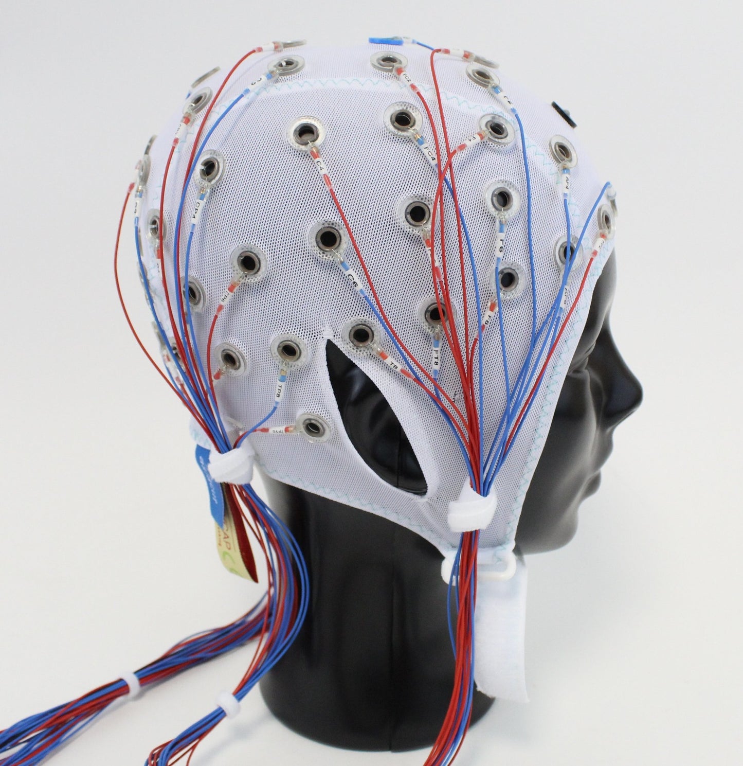 64Ch Standard BrainCap for TMS without input box