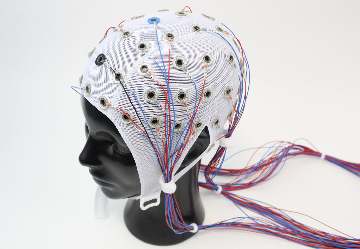 64Ch Standard BrainCap for TMS with input box