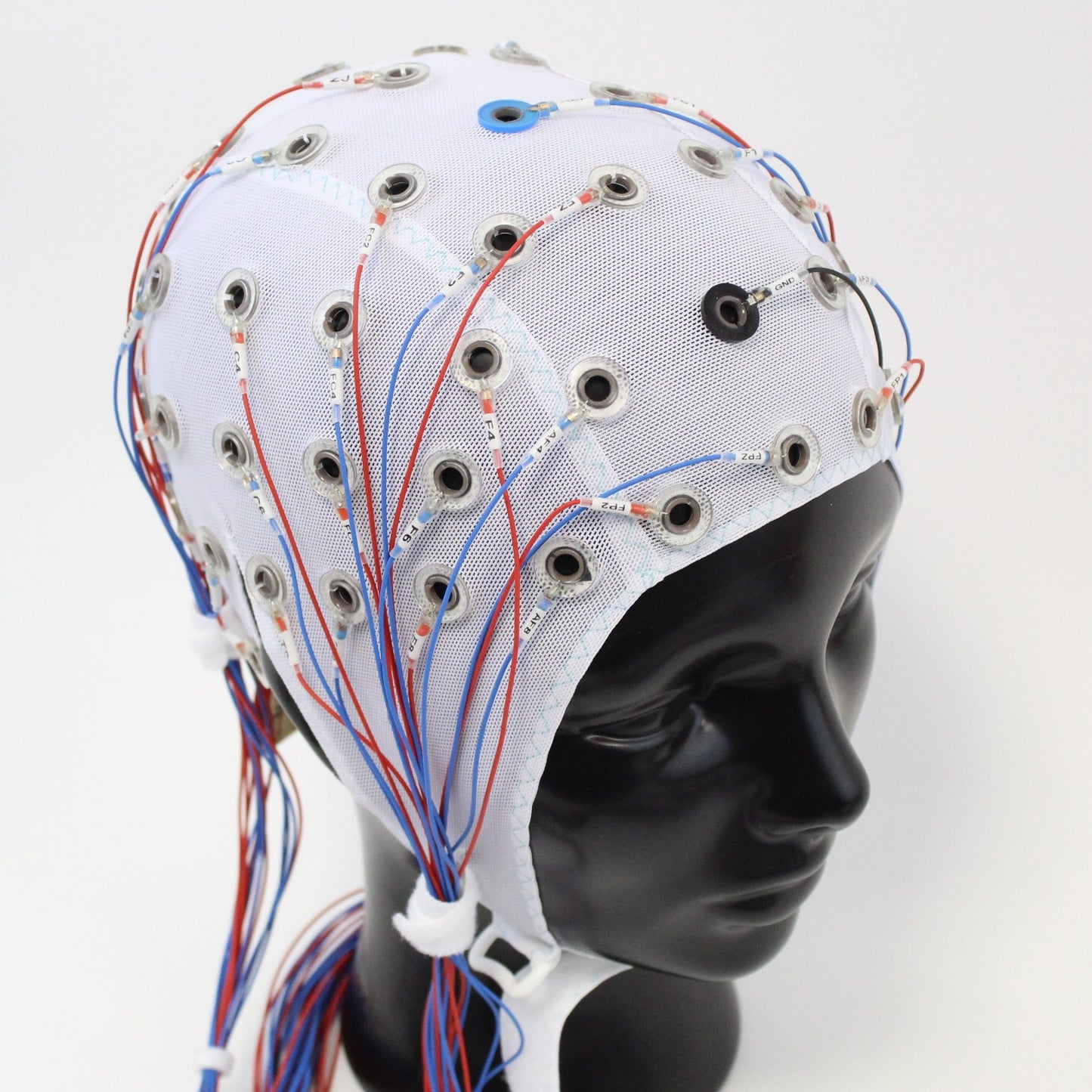 64Ch Standard BrainCap for TMS with input box