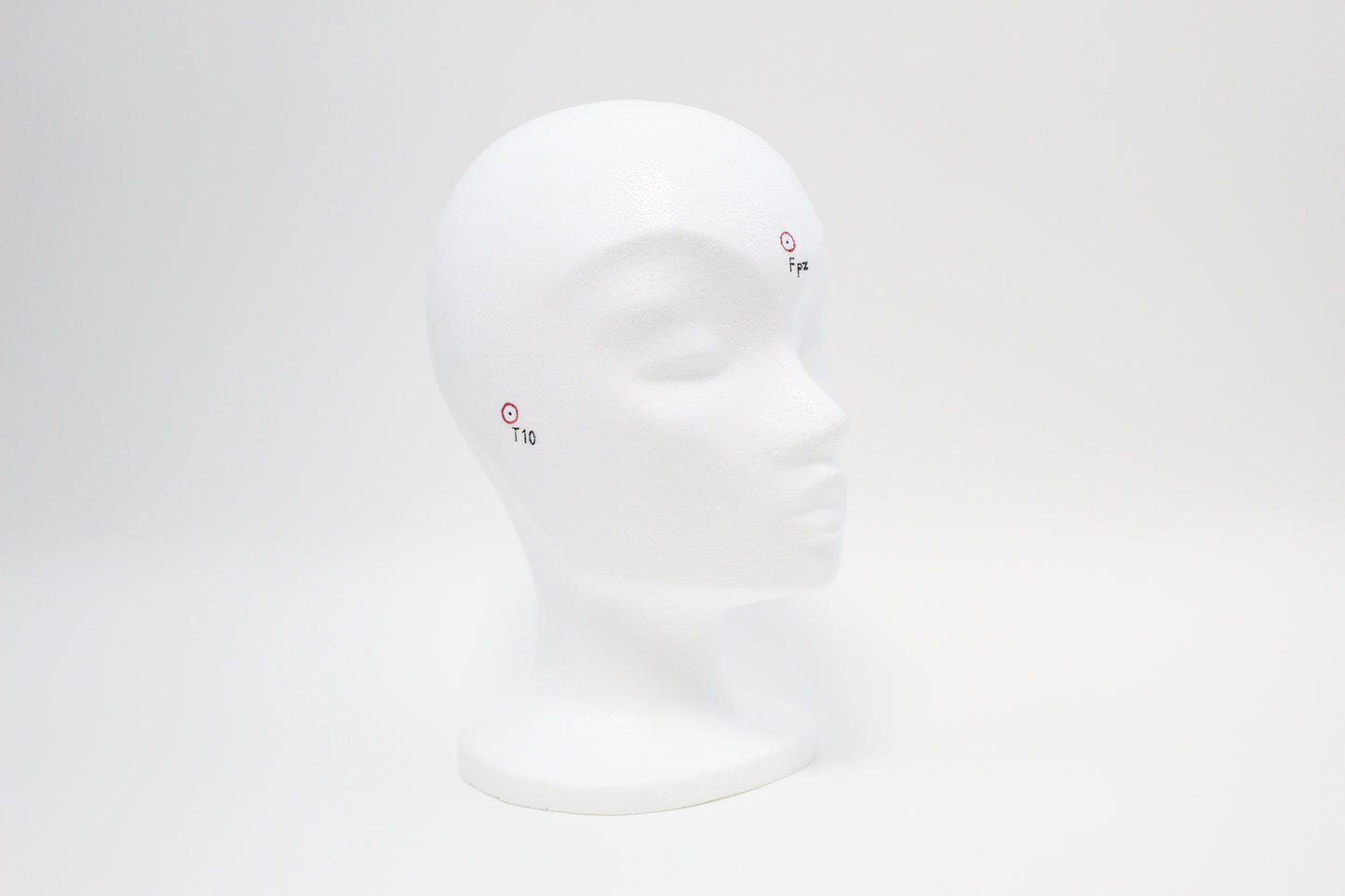 Model Head for Cap Storage or Display
