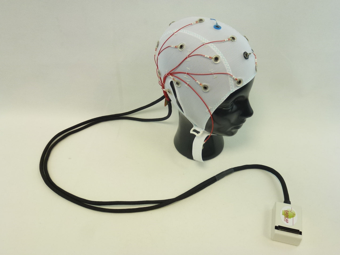 22Ch Standard BrainCap for BrainAmp