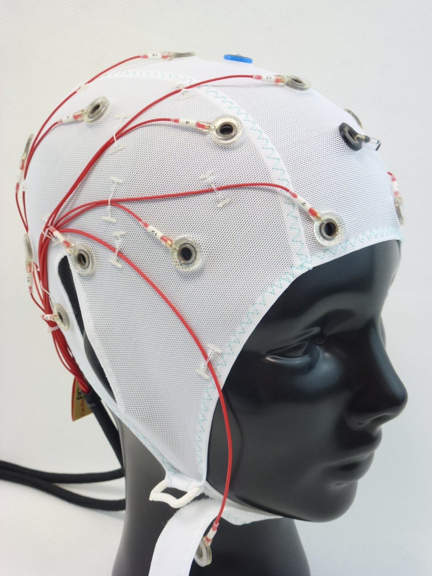 22Ch Standard BrainCap for BrainAmp