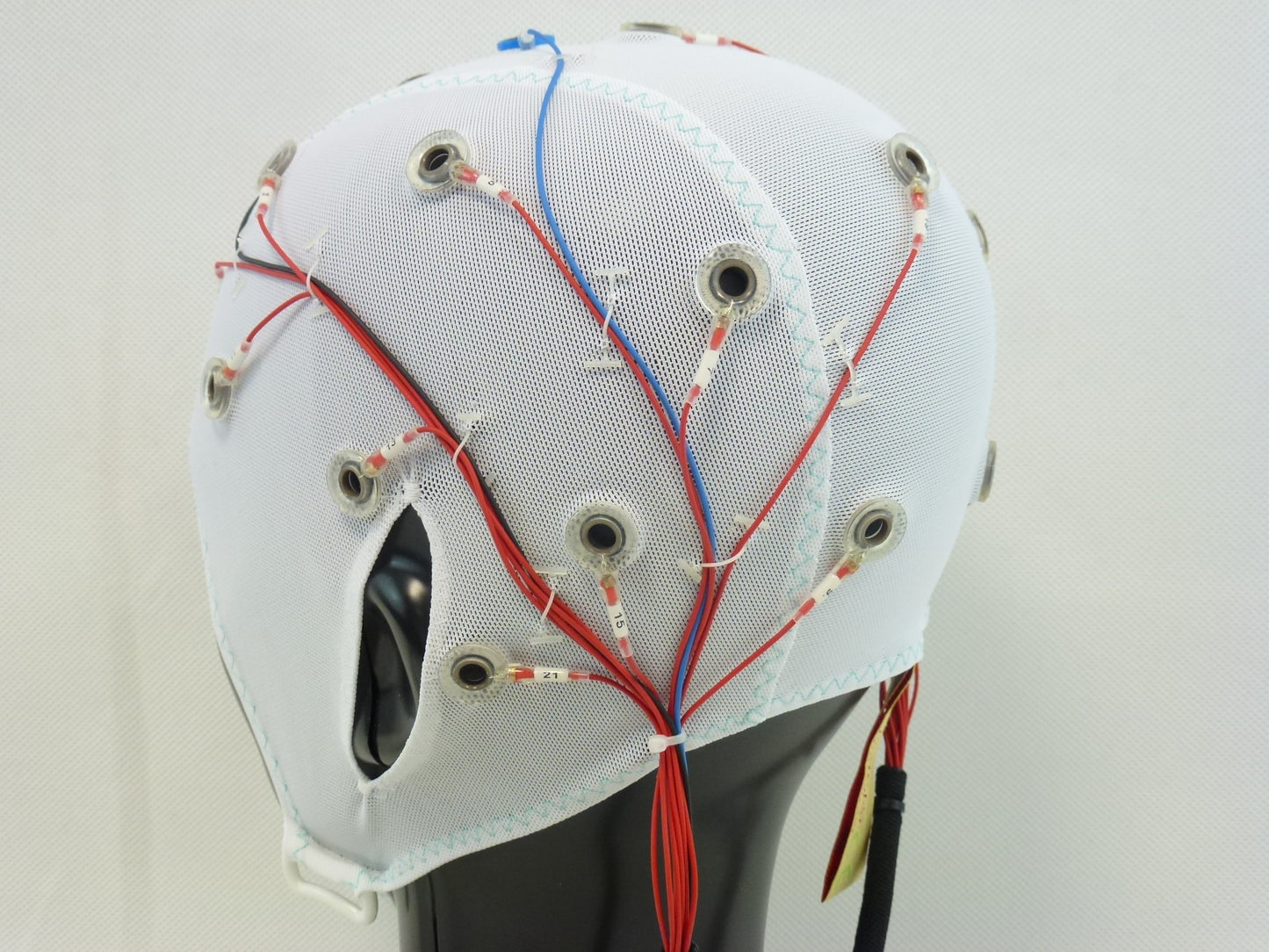 22Ch Standard BrainCap for BrainAmp