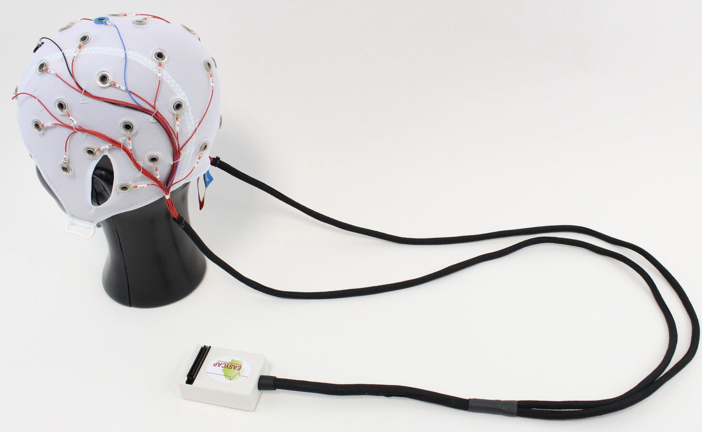32Ch Standard BrainCap for BrainAmp