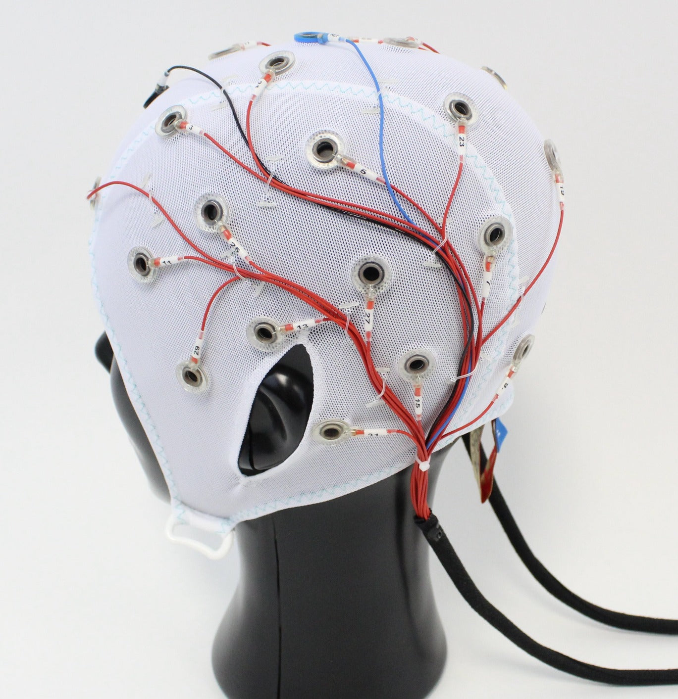 32Ch Standard BrainCap for BrainAmp