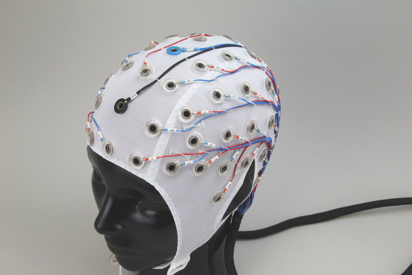 64Ch Standard BrainCap for BrainAmp