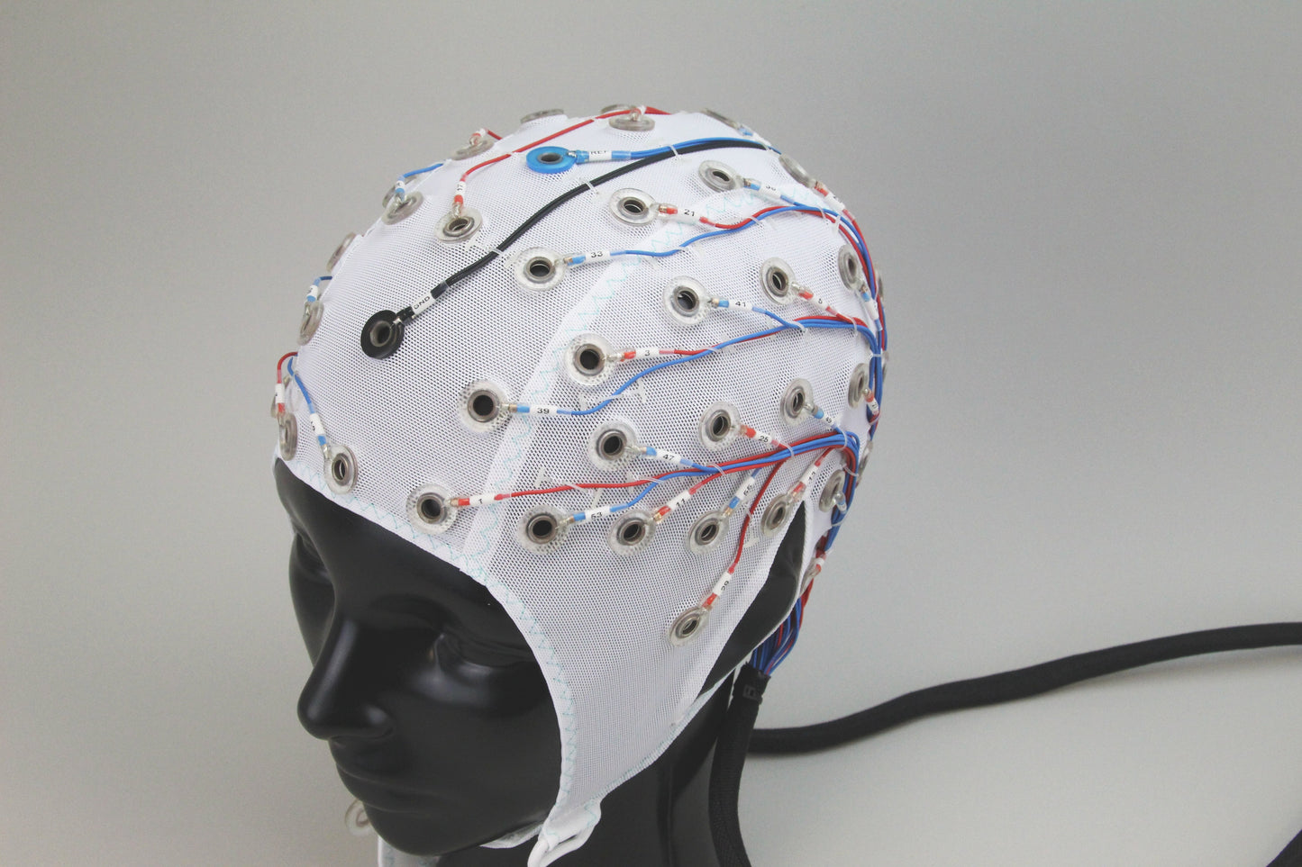 64Ch Standard BrainCap for BrainAmp for MEG