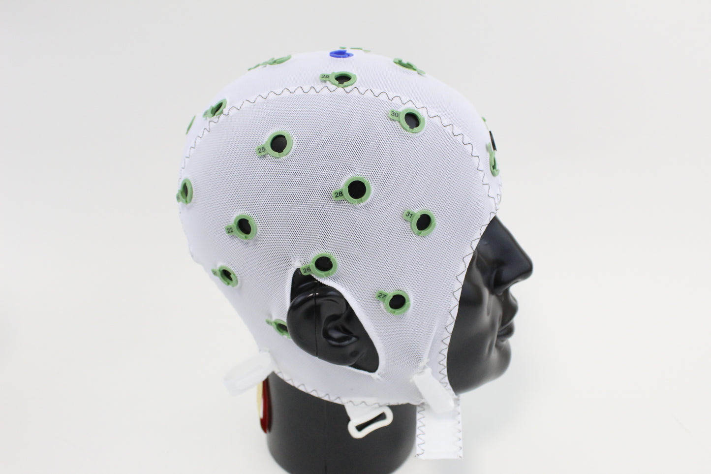 32Ch Empty Cap with actiCAP snap holders