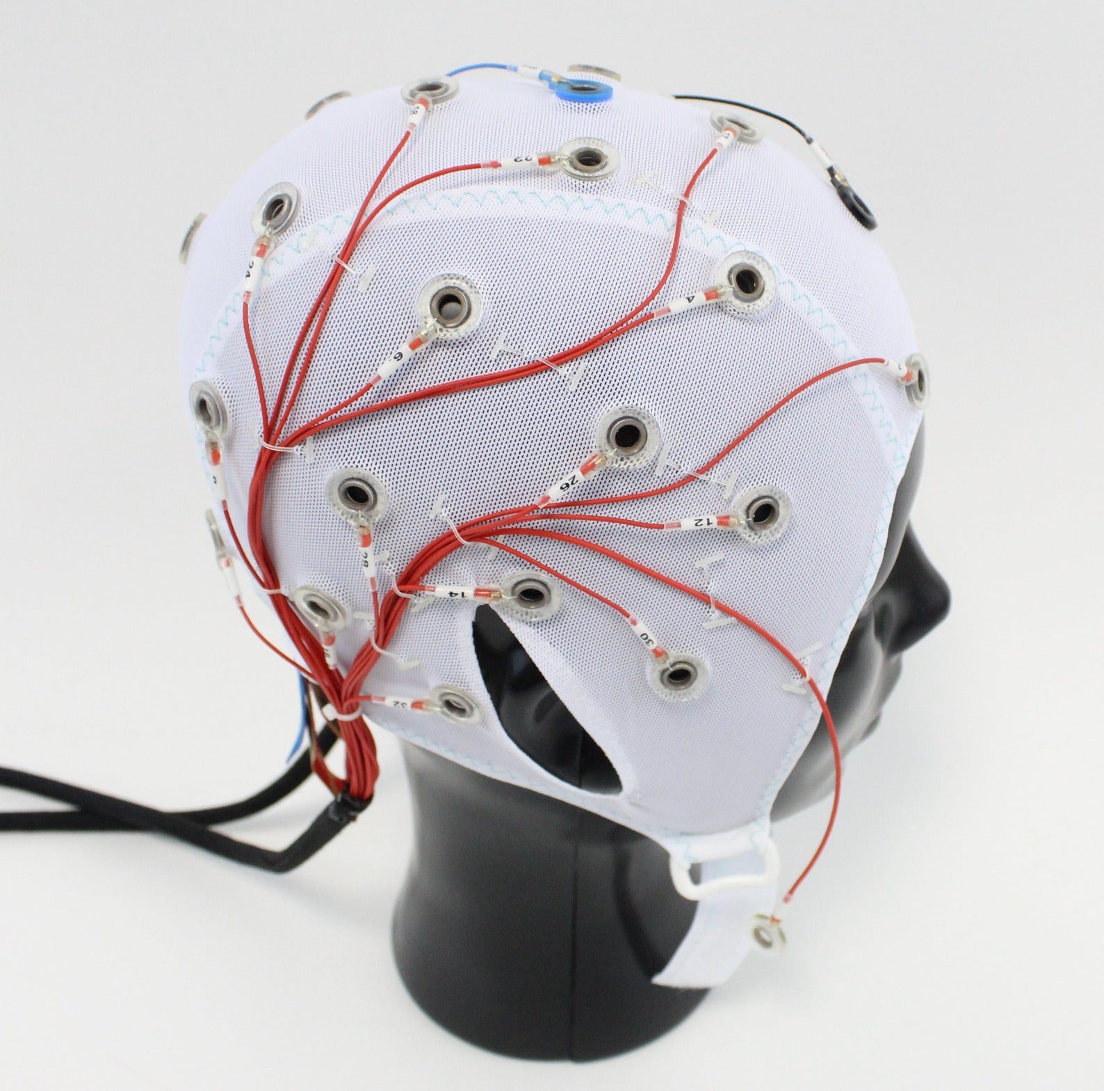 32Ch Standard BrainCap for BrainAmp – Easycap shop