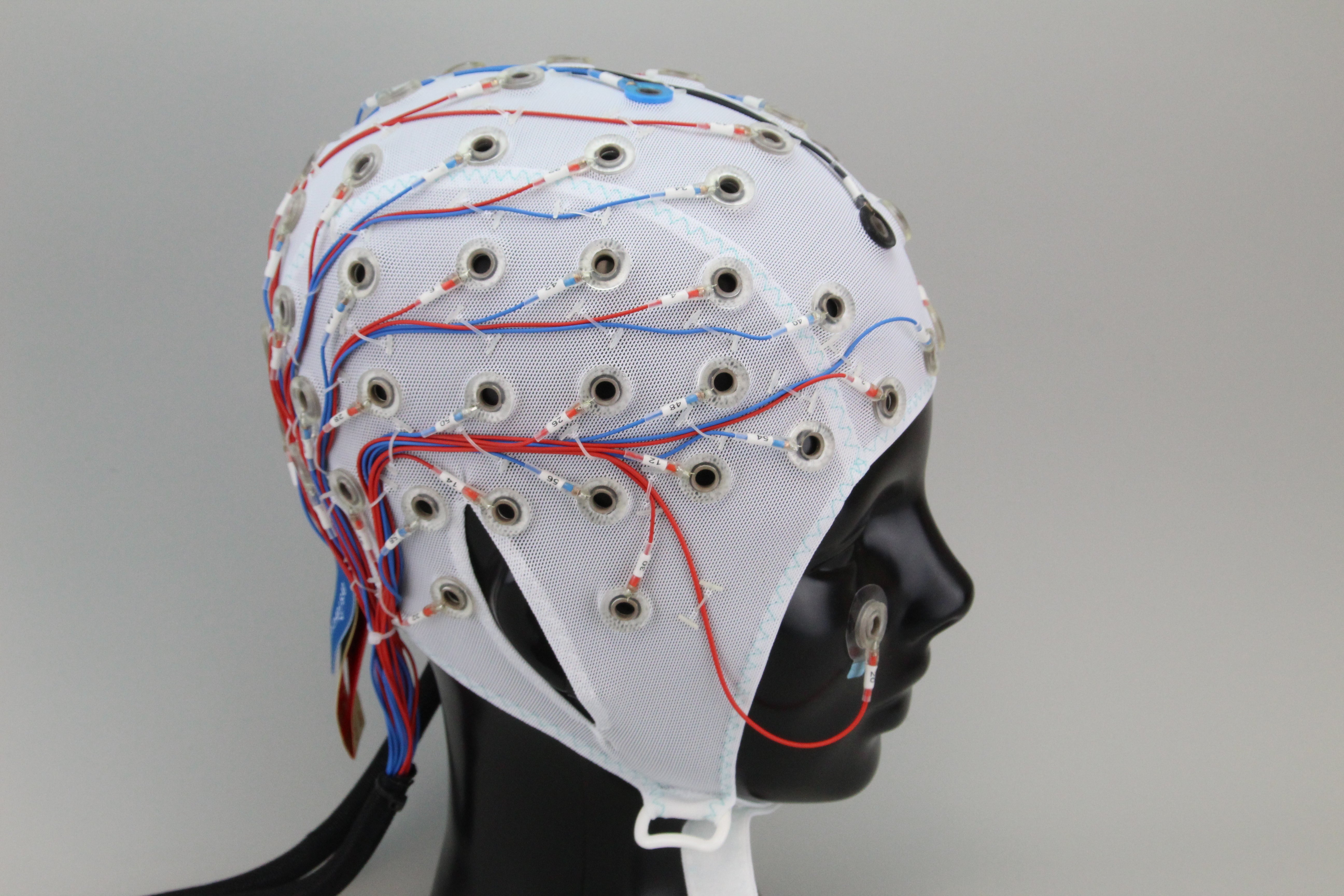 64Ch Standard BrainCap for BrainAmp – Easycap shop