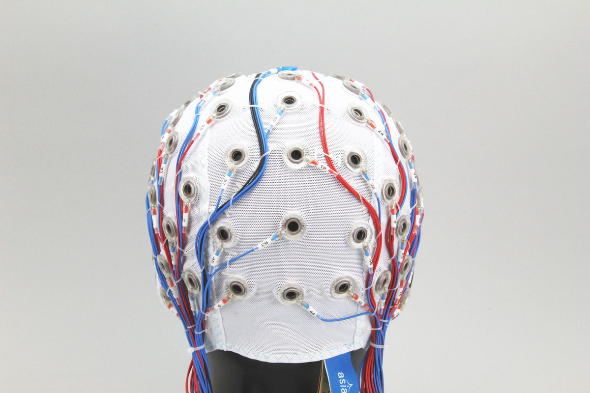 64Ch Standard BrainCap for BrainAmp – Easycap shop